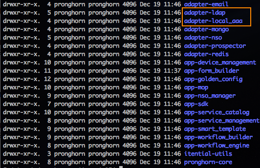 LDAP Local AAA Adapter